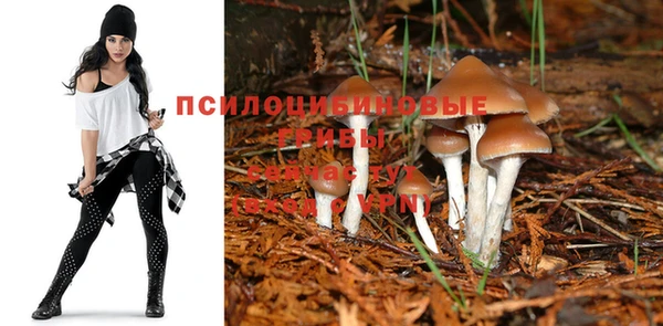 Альфа ПВП Армянск