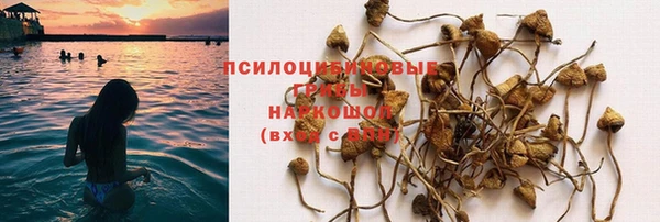 герыч Аркадак